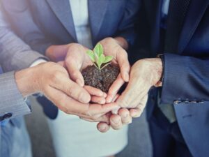 Kultura organizacyjna firmy 